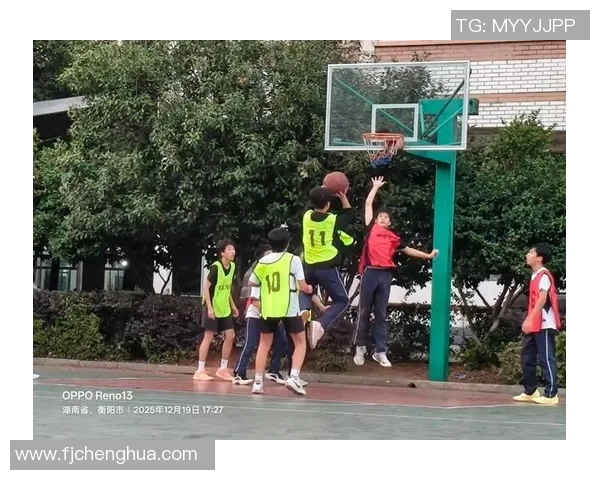 沈梓捷：从青涩少年到篮球赛场的璀璨明星之路